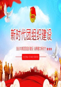 共青團(tuán)黨課團(tuán)組織新時(shí)代ppt模板