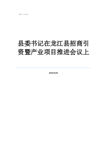 縣委書記在龍江縣招商引資暨產(chǎn)業(yè)項目推進會議上