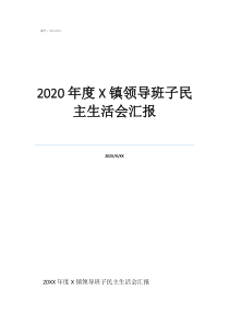 2020年度鎮(zhèn)領(lǐng)導(dǎo)班子民主生活會匯報