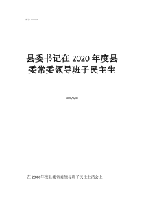 個(gè)人征求意見表6個(gè)方面縣委書記在2020年度縣委常委領(lǐng)導(dǎo)班子民主生