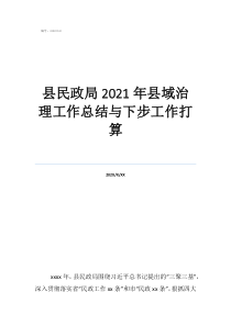 工作總結(jié)范文模板大全縣民政局2021年縣域治理工作總結(jié)與下步工作打算