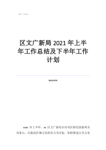 工作總結精辟簡短區(qū)文廣新局2021年上半年工作總結及下半年工作計劃