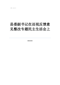 巡視組查哪些方面帳縣委副書記在巡視反饋意見整改專題民主生活會上