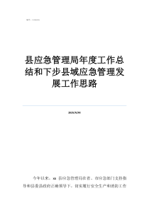 物業(yè)工作總結(jié)及工作計劃縣應(yīng)急管理局年度工作總結(jié)和下步縣域應(yīng)急管理發(fā)展工作思路