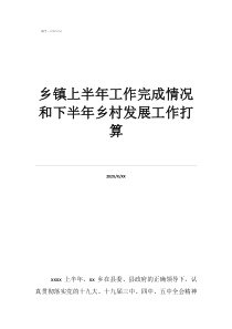 鄉(xiāng)鎮(zhèn)干部下一步工作打算鄉(xiāng)鎮(zhèn)上半年工作完成情況和下半年鄉(xiāng)村發(fā)展工作打算