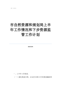 自然資源和規(guī)劃局局長(zhǎng)市自然資源和規(guī)劃局上半年工作情況和下步資源監(jiān)管工作計(jì)劃