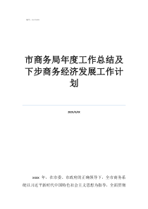 商務局行政審批工作計劃市商務局年度工作總結及下步商務經(jīng)濟發(fā)展工作計劃