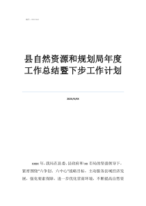 市自然資源局地環(huán)處總結(jié)縣自然資源和規(guī)劃局年度工作總結(jié)暨下步工作計(jì)劃