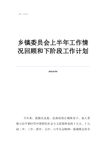 每周工作計劃鄉(xiāng)鎮(zhèn)委員會上半年工作情況回顧和下階段工作計劃