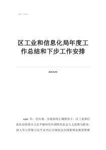 個人監(jiān)理工作總結(jié)區(qū)工業(yè)和信息化局年度工作總結(jié)和下步工作安排