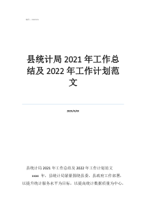 統(tǒng)計局統(tǒng)計崗位個人工作總結(jié)縣統(tǒng)計局2021年工作總結(jié)及2022年工作計劃范文
