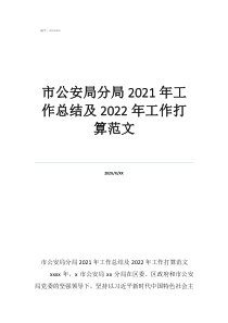 市公安局分局2021年工作總結(jié)及2022年工作打算范文