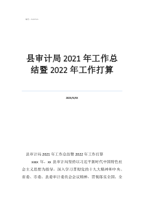 審計(jì)部門(mén)工作總結(jié)縣審計(jì)局2021年工作總結(jié)暨2022年工作打算