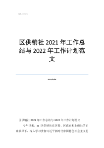 區(qū)供銷(xiāo)社2021年工作總結(jié)與2022年工作計(jì)劃范文