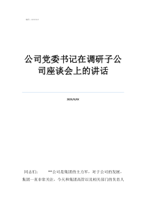 公司黨委書記在調(diào)研子公司座談會(huì)上的講話