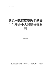 巡察組整改自我剖析材黨組書記巡察整改專題民主生活會(huì)個(gè)人對(duì)照檢查材料