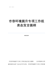 市容環(huán)境提升專項工作組表態(tài)發(fā)言提綱