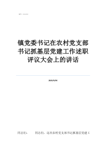 述職評議相關(guān)制度鎮(zhèn)黨委書記在農(nóng)村黨支部書記抓基層黨建工作述職評議大會上的講話