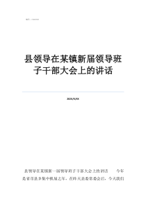 領(lǐng)導(dǎo)講話40句經(jīng)典縣領(lǐng)導(dǎo)在某鎮(zhèn)新屆領(lǐng)導(dǎo)班子干部大會(huì)上的講話