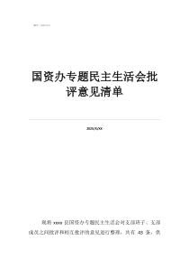 國資辦專題民主生活會(huì)批評(píng)意見清單