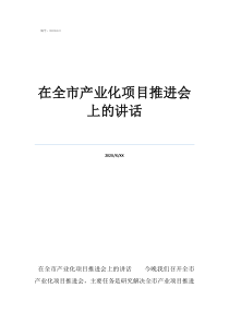 黨員大會(huì)開(kāi)會(huì)講話稿在全市產(chǎn)業(yè)化項(xiàng)目推進(jìn)會(huì)上的講話