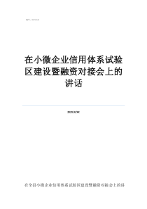 景德鎮(zhèn)試驗區(qū)在小微企業(yè)信用體系試驗區(qū)建設暨融資對接會上的講話