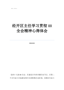 經(jīng)開區(qū)主任學(xué)習(xí)貫徹全會(huì)精神心得體會(huì)