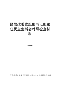 副主任是什么級(jí)別區(qū)發(fā)改委黨組副書(shū)記副主任民主生活會(huì)對(duì)照檢查材料