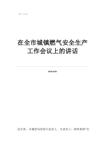 燃?xì)獍踩谌谐擎?zhèn)燃?xì)獍踩a(chǎn)工作會(huì)議上的講話
