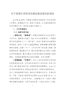 關(guān)于招商引資和項(xiàng)目建設(shè)推進(jìn)情況的報(bào)告