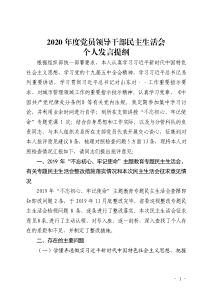 2020年度領導班子民主生活會個人發(fā)言提綱
