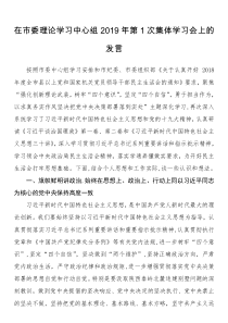 在市委理論學(xué)習(xí)中心組2019年第1次集體學(xué)習(xí)會(huì)上的發(fā)言