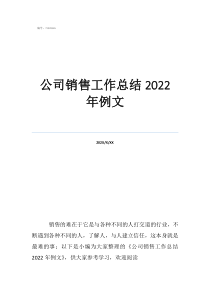 銷售一天的工作總結簡短公司銷售工作總結2022年例文