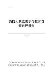 消防大隊黨史學習教育自查自評報告