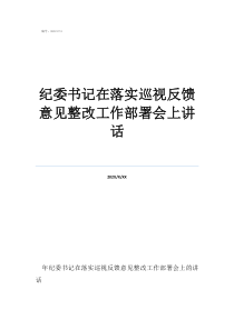 紀(jì)委書記在落實巡視反饋意見整改工作部署會上講話