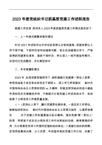 2023年度黨組織書記抓基層黨建工作述職報告docx