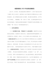 城管局局長2023年述責述廉報告docx