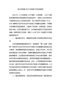 公司黨委2023年巡察工作總結(jié)報告docx