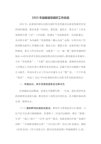 2023年縣基層黨組織工作總結(jié)docx
