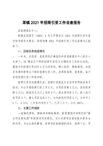 某鎮(zhèn)2021年招商引資工作自查報告doc