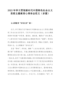 2023年學(xué)習(xí)貫徹新時(shí)代中國(guó)特色社會(huì)主義思想主題教育心得體會(huì)范文（多篇）