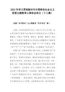 2023年學(xué)習(xí)貫徹新時(shí)代中國(guó)特色社會(huì)主義思想主題教育心得體會(huì)范文（十三篇）