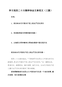 學(xué)習(xí)黨的二十大精神體會(huì)文章范文（三篇）