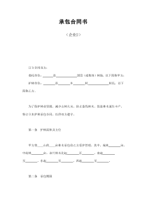 初創(chuàng)公司企業(yè)承包合同書（企業(yè)2）