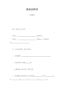 初創(chuàng)公司企業(yè)承包合同書（企業(yè)6）