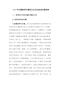 2023年主題教育專題民主生活會檢視問題清單及主要原因范文