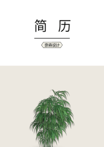 藝術(shù)氣質(zhì)求職簡(jiǎn)歷四頁(yè)11