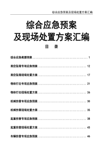 綜合應急預案及現場處置方案匯編