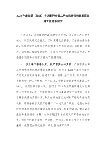 2023年度黨委（黨組）書記履行全面從嚴(yán)治黨責(zé)任和抓基層黨建工作述職范文