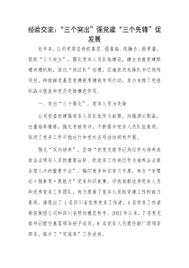 黨建促發(fā)展經(jīng)驗交流：“三個突出”強黨建 “三個先鋒”促發(fā)展